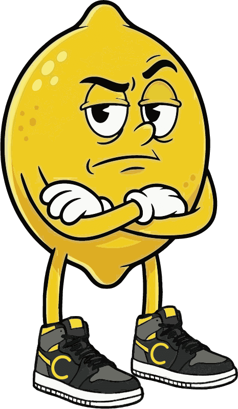 Gino arrabbiatissimo per i siti web realizzati male